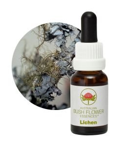 Lichen, 15 ml